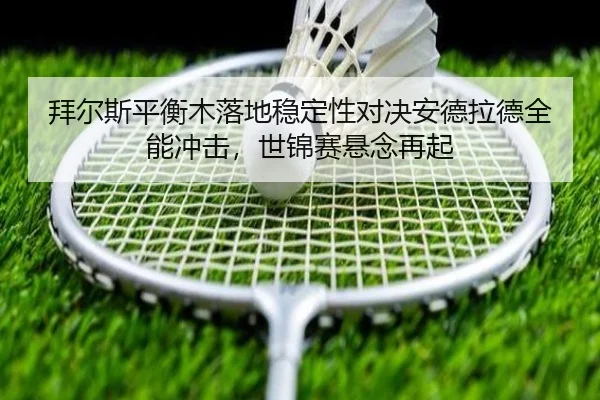 bai-er-si-ping-heng-mu-luo-di-wen-ding-xing-dui-jue-an-de-la-de-quan-neng-chong-ji-shi-jin-sai-xuan-nian-zai-qi-2-499.jpg