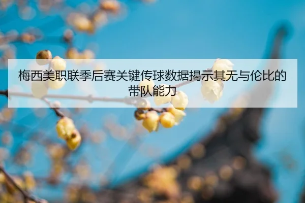 mei-xi-mei-zhi-lian-ji-hou-sai-guan-jian-chuan-qiu-shu-ju-jie-shi-qi-wu-yu-lun-bi-de-dai-dui-neng-li-2-639.jpg