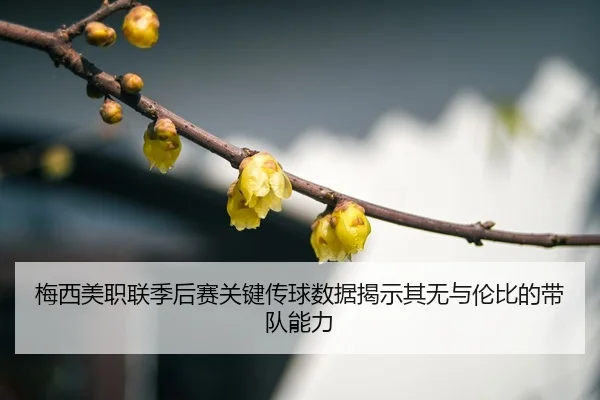 mei-xi-mei-zhi-lian-ji-hou-sai-guan-jian-chuan-qiu-shu-ju-jie-shi-qi-wu-yu-lun-bi-de-dai-dui-neng-li-3-233.jpg
