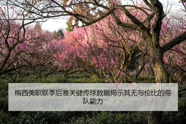 梅西美职联季后赛关键传球数据揭示其无与伦比的带队能力