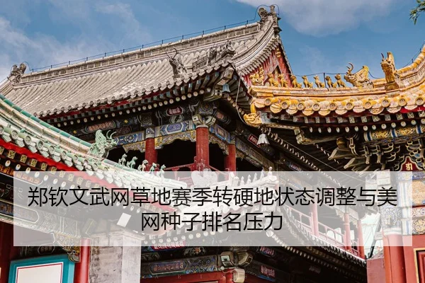 zheng-qin-wen-wu-wang-cao-di-sai-ji-zhuan-ying-di-zhuang-tai-tiao-zheng-yu-mei-wang-zhong-zi-pai-ming-ya-li-3-668.jpg