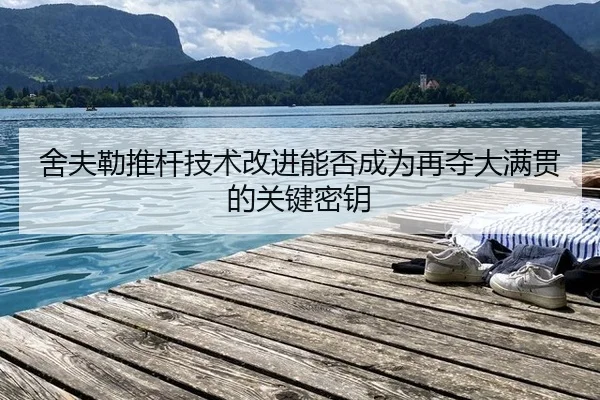 舍夫勒推杆技术改进能否成为再夺大满贯的关键密钥