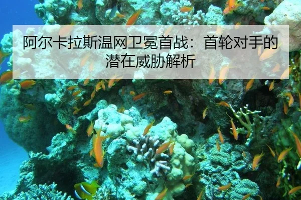 阿尔卡拉斯温网卫冕首战：首轮对手的潜在威胁解析
