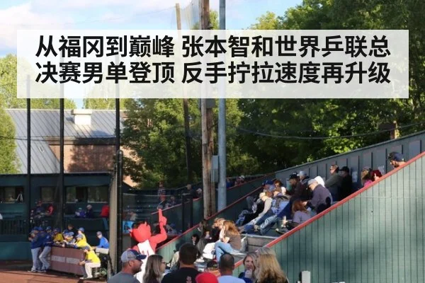 从福冈到巅峰 张本智和世界乒联总决赛男单登顶 反手拧拉速度再升级